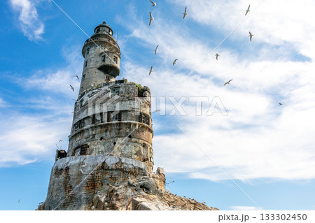 Close upward view of abandoned Japanese Aniva Lighthouse on Sakhalin, Russia with rusted concrete walls and seabirds on rocky foreground 133302450