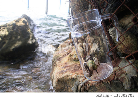 Discarded glass jar with coenobita rugosus or land hermit crabs trapped inside on rocks by the seaside. Environmental damage and pollution. Koh Sdach, Cambodia Discarded glass jar with coenobita rugosus or land hermit crabs trapped inside on rocks by the seaside. Environmental damage and pollution. Koh Sdach, Cambodia 133302703