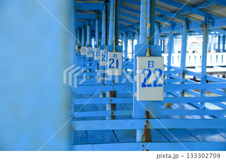 Symmetrical blue structure of an empty dock with numbered sections and beams 133302709
