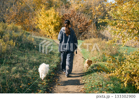 Back view of young woman walking with her dogs in autumn forest. Back view of young woman walking with her dogs in autumn forest. 133302900