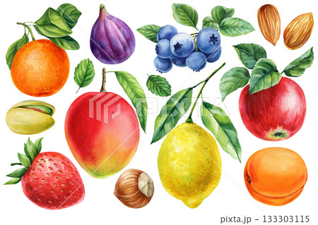 fruits and nuts set with mango lemon apple berries fig orange apricot and assorted nuts. Watercolor botanical food design 133303115