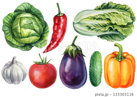 Vegetables set with cabbage chili lettuce garlic tomato eggplant cucumber and bell pepper. Watercolor fresh organic kitchen design 133303116