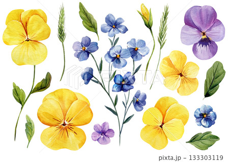 Watercolor pansies and blue wildflowers with green leaves and botanical stems for bright spring floral design elements set 133303119