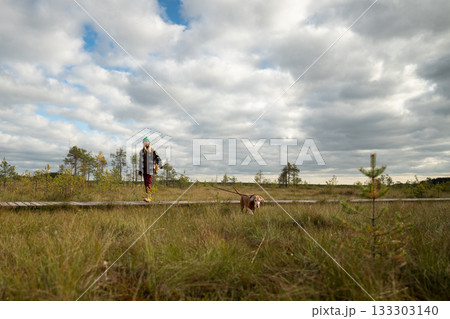 Woman walking active hunting dog on eco trail in autumn peat bog under cloudy sky, Vizsla pet stroll Woman walking active hunting dog on eco trail in autumn peat bog under cloudy sky, Vizsla pet stroll 133303140