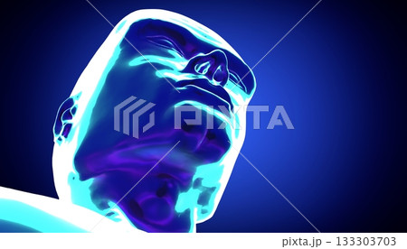 Male anatomy - head - 3d illustration Male anatomy - head - 3d illustration 133303703