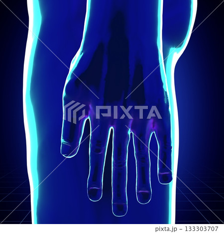 Male anatomy - 3d illustration 133303707