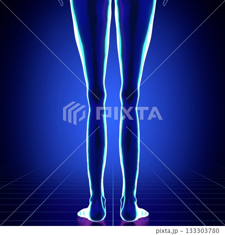 Female anatomy - close-up on legs - 3d illustration 133303780