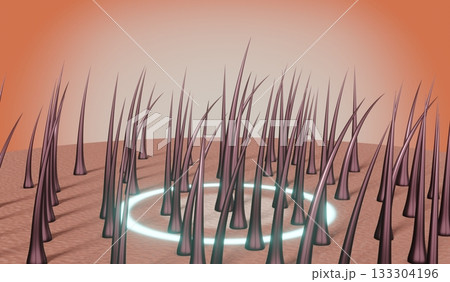 Hair follicles - regeneration concept - 3D illustration 133304196