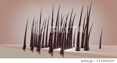 Healthy hair follicles and skin under microscope - 3D illustration 133304224