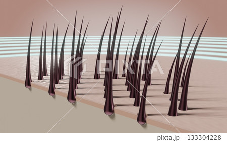 Hair follicles - regeneration concept - 3D illustration Hair follicles - regeneration concept - 3D illustration 133304228