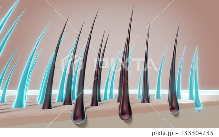 Hair follicles - regeneration concept - 3D illustration Hair follicles - regeneration concept - 3D illustration 133304235