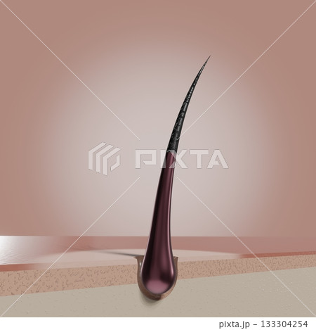 Single hair follicle - 3D illustration 133304254