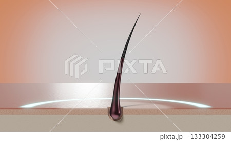 Single hair follicle and round glow - regeneration concept - 3D illustration 133304259
