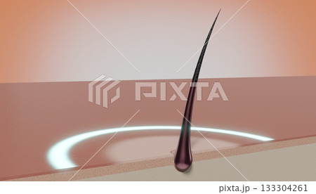 Single hair follicle and round glow - regeneration concept - 3D illustration 133304261
