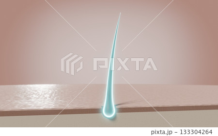 Glowing single hair follicle - regeneration concept - 3D illustration Glowing single hair follicle - regeneration concept - 3D illustration 133304264