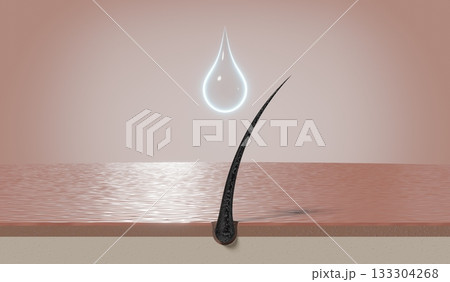 Single hair follicle and drop of cosmetic or shampoo - 3D illustration 133304268