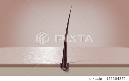 Single hair follicle - 3D illustration 133304273
