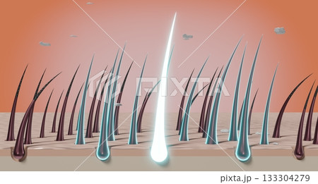Hair follicles and shampoo treatment against dandruff - 3D illustration Hair follicles and shampoo treatment against dandruff - 3D illustration 133304279