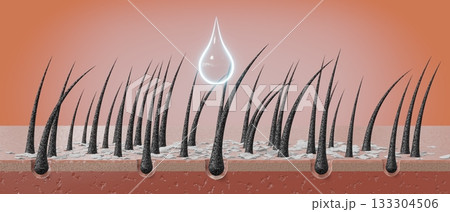 Hair follicles and shampoo treatment against dandruff - 3D illustration Hair follicles and shampoo treatment against dandruff - 3D illustration 133304506