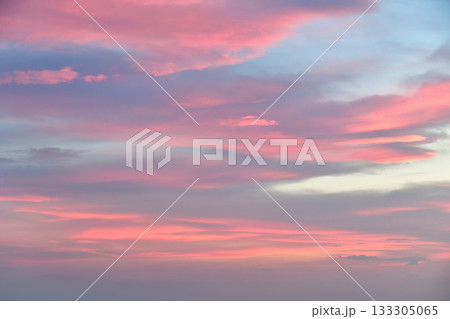 ビーナスベルト　マジックアワー 133305065