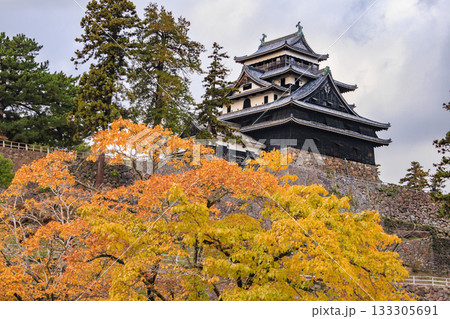 紅葉見頃な国宝松江城 紅葉見頃な国宝松江城 133305691