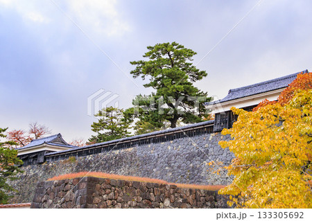 紅葉見頃な国宝松江城 紅葉見頃な国宝松江城 133305692