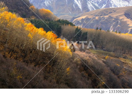 Cozy wooden house and autumn forest. View to the distance. 133306290