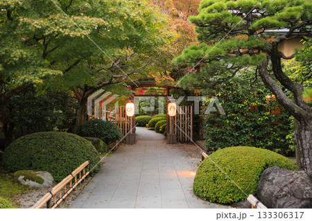 由志園 秋の紅葉ライトアップ 由志園 秋の紅葉ライトアップ 133306317