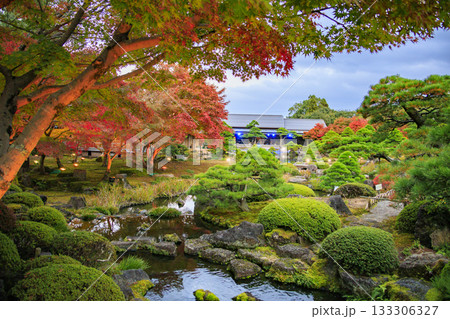 由志園　秋の紅葉ライトアップ 133306327