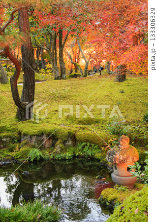 由志園 秋の紅葉ライトアップ 由志園 秋の紅葉ライトアップ 133306329