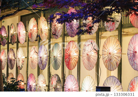 由志園　秋の紅葉ライトアップ 133306331