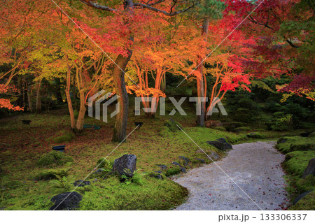 由志園　秋の紅葉ライトアップ 133306337