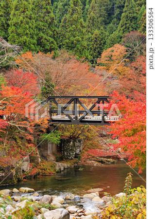 紅葉見頃な奥津峡 紅葉見頃な奥津峡 133306564