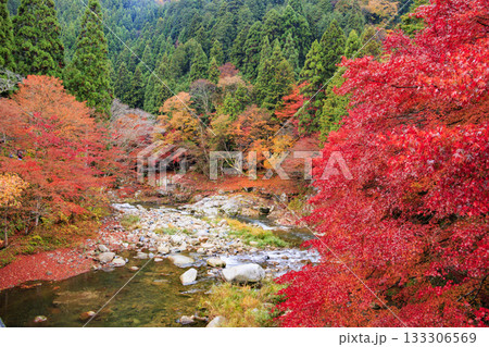 紅葉見頃な奥津峡 紅葉見頃な奥津峡 133306569