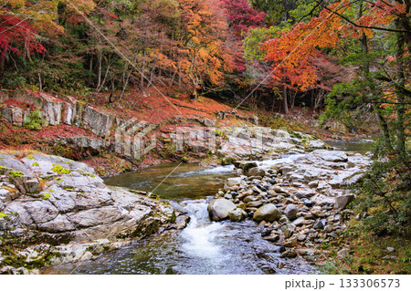 紅葉見頃な奥津峡 紅葉見頃な奥津峡 133306573
