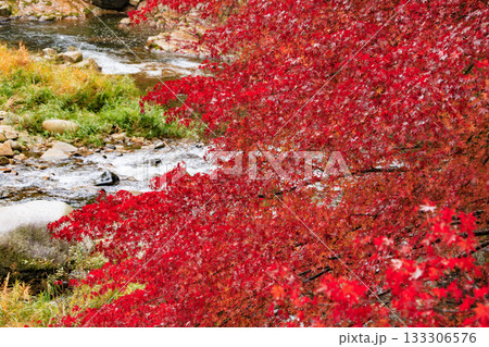 紅葉見頃な奥津峡 紅葉見頃な奥津峡 133306576
