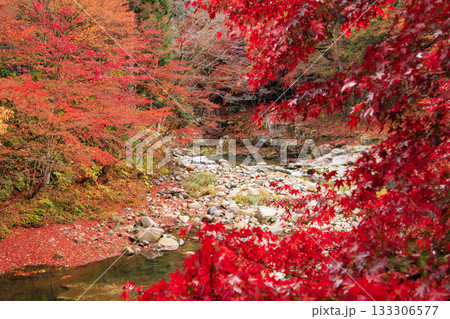 紅葉見頃な奥津峡 紅葉見頃な奥津峡 133306577