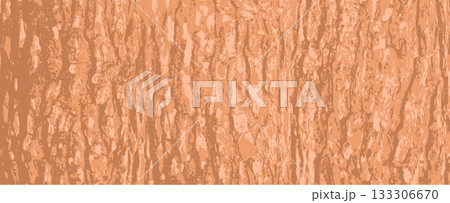 Tree bark texture Tree bark texture 133306670