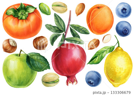 Watercolor fruits and nuts set with pomegranate lemon apple persimmon blueberry apricot botanical food illustration design Watercolor fruits and nuts set with pomegranate lemon apple persimmon blueberry apricot botanical food illustration design 133306679