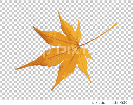 Illustration of a single yellow autumn leaf 133306803