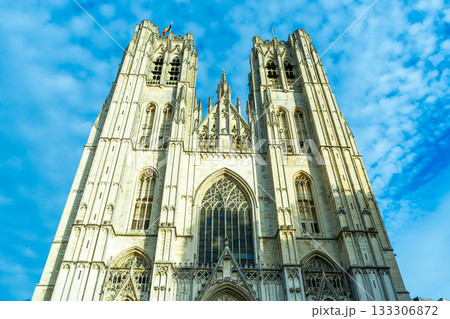 Brussels Cathedral of St. Michael and St. Gudulia. Belgium Brussels main church. Ancient Gothic architecture Brussels Cathedral of St. Michael and St. Gudulia. Belgium Brussels main church. Ancient Gothic architecture 133306872