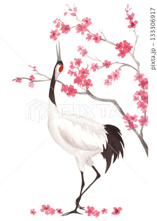 Dancing japanese red-crowned crane with the sakura on background. Watercolor handmade illustration. For fabric, wallpaper, greeting cards, design, decoration and illustration. 133306917