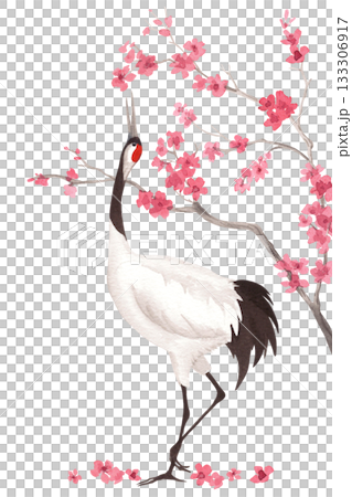 Dancing japanese red-crowned crane with the sakura on background. Watercolor handmade illustration. For fabric, wallpaper, greeting cards, design, decoration and illustration. 133306917