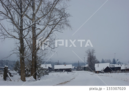 In the foreground is a winter road to a village, flanked by a snow-covered Siberian forest. In the background is a village  133307020