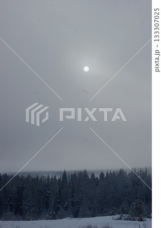 The winter Siberian sun shines in the foggy, grey sky... 133307025