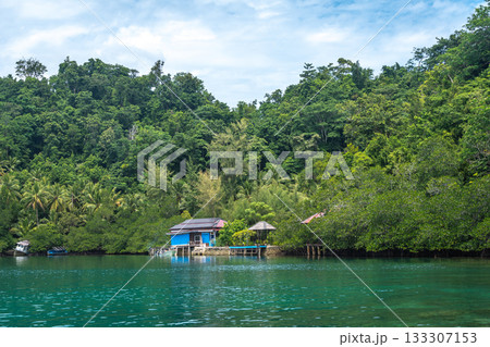 Fishermen houses near the forest in Togian Islands Sulawesi Indonesia 133307153