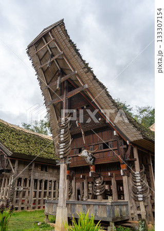 Traditional Tongkonan Toraja house, Sulawesi, Indonesia 133307154