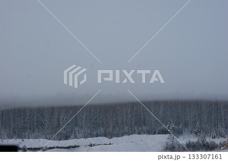 A thick, grey fog lies on the treetops of a winter Siberian forest. 133307161
