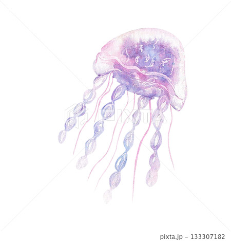 Watercolor jellyfish illustration with soft purple and blue tones 133307182