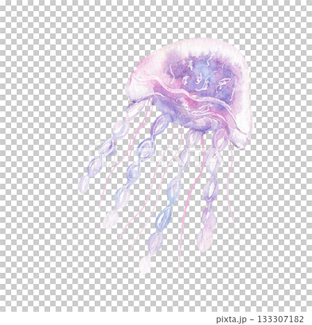 Watercolor jellyfish illustration with soft purple and blue tones 133307182